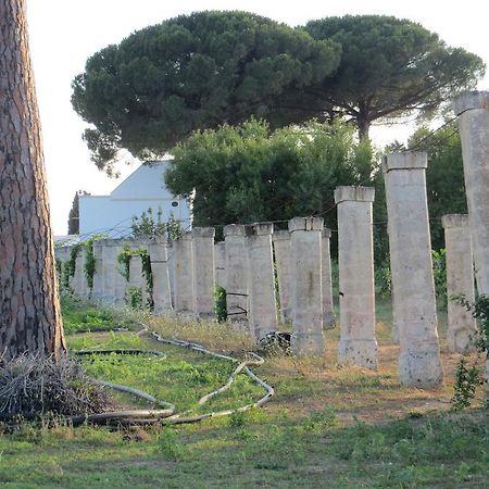 Agriturismo Occhineri Porto Cesareo Exterior foto