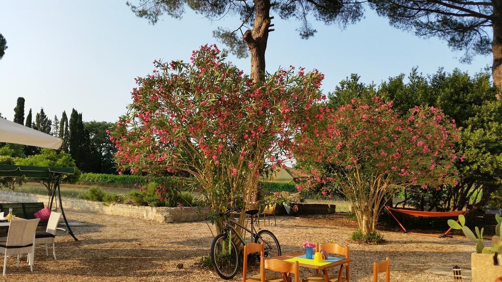 Agriturismo Occhineri Porto Cesareo Exterior foto