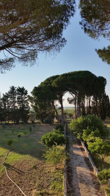 Agriturismo Occhineri Porto Cesareo Exterior foto